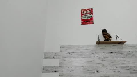 Jaycreedd online show from November 22, 2025, 3:22 pm