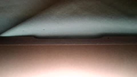 jaydee6312 online show from February 11, 2026, 3:11 am