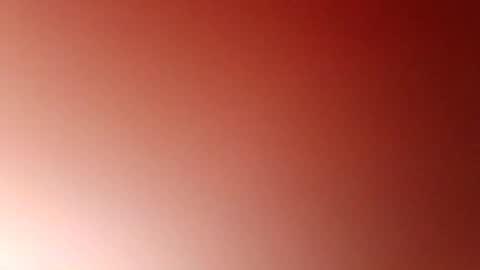 jcb2504 online show from October 28, 2025, 10:08 am