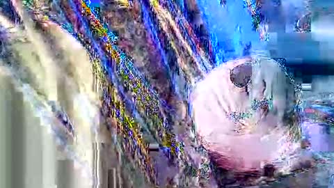 jcfoxx0920 online show from October 3, 2025, 1:41 pm