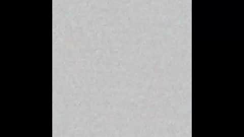 JcMax305 online show from February 19, 2026, 7:26 am