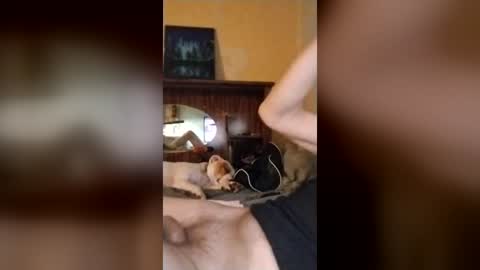 jcors online show from July 6, 2026, 5:48 am