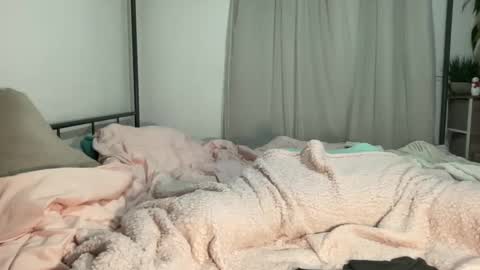 Snapshot of jenni_cash chatting on December 11, 2024, 6:47 am Mistress Jenni online show from December 11, 2024, 6:47 am