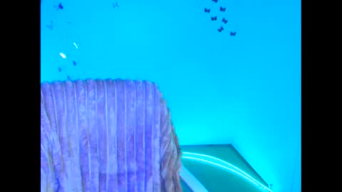 Jennifer online show from February 11, 2026, 7:13 am