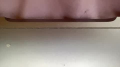 jerking1981 online show from December 25, 2024, 5:37 pm