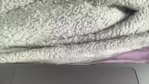 jerking1981 online show from January 1, 2025, 4:50 pm