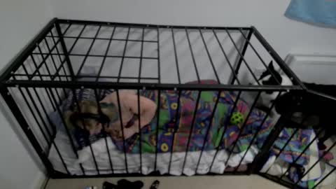 Snapshot of jesdoingnsfw chatting on March 17, 2026, 2:27 am jesdoingnsfw online show from March 17, 2026, 2:27 am