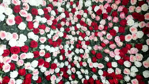 JESEY online show from April 9, 2026, 9:09 pm