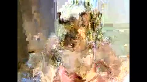 Snapshot of jessajoyy chatting on February 1, 2025, 4:11 pm jessajoyy online show from February 1, 2025, 4:11 pm