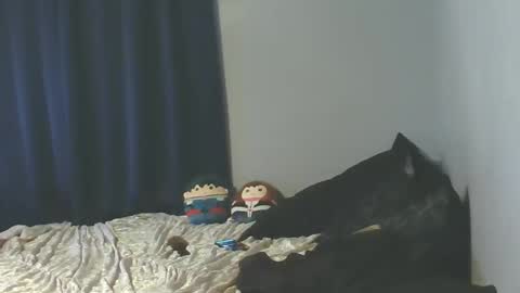 Sissy Jessica online show from January 8, 2026, 6:05 am