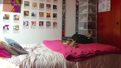 Snapshot of jessie_williams_01 chatting on February 12, 2026, 7:09 pm Your Sweet Angel online show from February 12, 2026, 7:09 pm