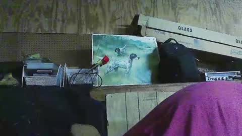 Dixon Cider online show from March 6, 2025, 6:19 am
