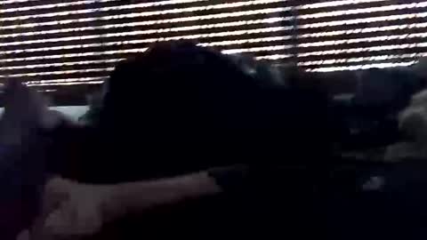 jf19861119 online show from October 5, 2025, 5:33 pm