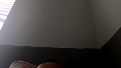 jiri7381 online show from April 26, 2026, 11:41 am