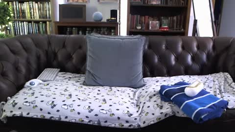 Snapshot of jkrubber chatting on December 3, 2024, 6:59 am JKRubber online show from December 3, 2024, 6:59 am