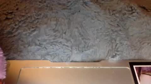 Snapshot of jln102004 chatting on December 5, 2024, 5:59 am Holmesfifth online show from December 5, 2024, 5:59 am