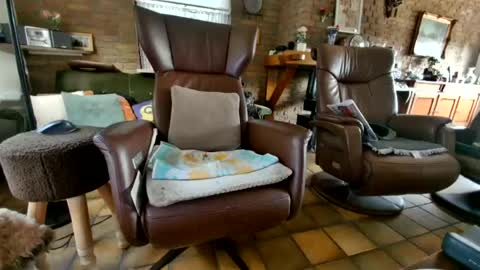 johan7 heet online show from July 24, 2026, 5:00 pm