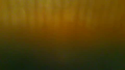 johnnyshung1 online show from December 21, 2025, 11:50 am