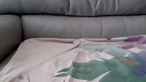 bigger than some online show from March 5, 2025, 8:10 pm