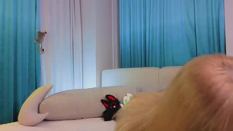 Viola online show from November 10, 2025, 11:20 am