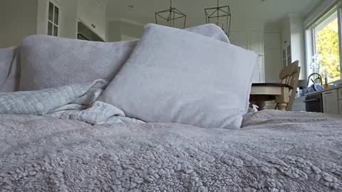 jonesy420xoo online show from October 8, 2025, 11:24 pm