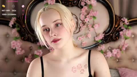 Snapshot of jonnienita chatting on April 17, 2026, 11:13 am Alice online show from April 17, 2026, 11:13 am