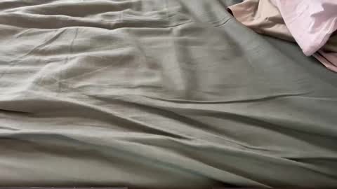 Maximo online show from March 13, 2026, 1:51 pm