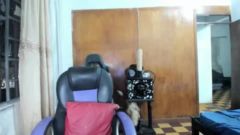 Snapshot of joseph_god chatting on October 28, 2025, 12:36 am MR OAK online show from October 28, 2025, 12:36 am