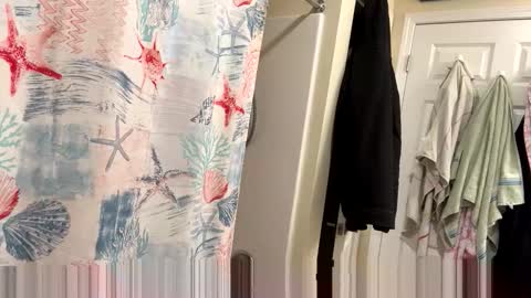 sissy josphine online show from February 3, 2026, 3:37 am