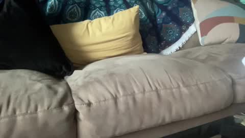 Snapshot of joshperrygoon chatting on December 21, 2024, 3:42 pm joshperrygoon online show from December 21, 2024, 3:42 pm