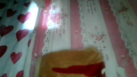 Snapshot of josy918592 chatting on June 17, 2026, 3:53 am josy918592 online show from June 17, 2026, 3:53 am