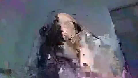 joyceandjacob online show from September 29, 2025, 6:57 pm