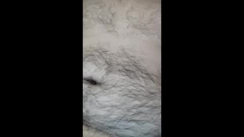 juegopromax707909 online show from April 27, 2026, 11:08 am