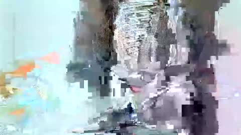 juicyebonitaa online show from November 4, 2025, 6:45 am