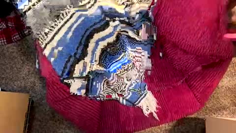 Snapshot of juish5521 chatting on December 29, 2024, 3:03 pm Juish5521 online show from December 29, 2024, 3:03 pm