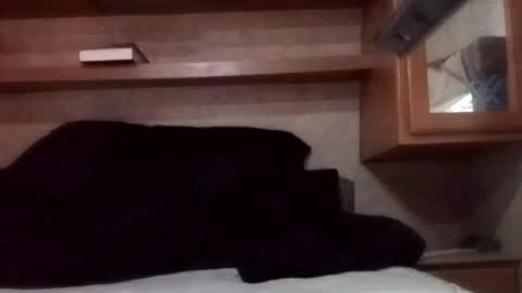 Snapshot of juish5521 chatting on March 3, 2025, 12:26 am Juish5521 online show from March 3, 2025, 12:26 am