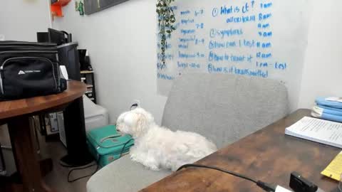 Jules online show from March 20, 2026, 5:40 pm