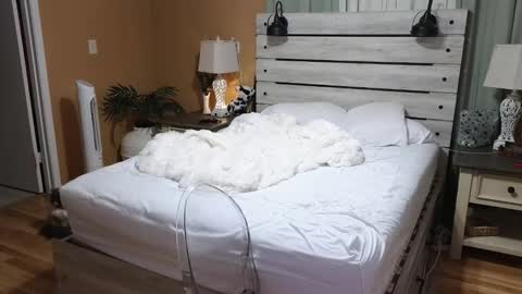 Texas Mamasita online show from December 23, 2025, 3:04 am