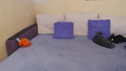 Jul online show from September 22, 2025, 3:03 pm