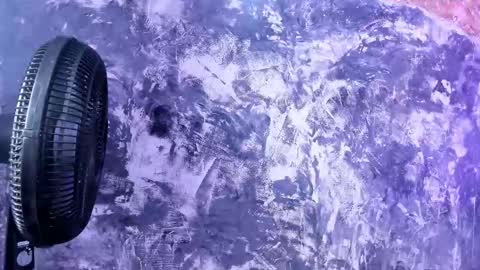 julietakane online show from March 15, 2026, 6:08 am