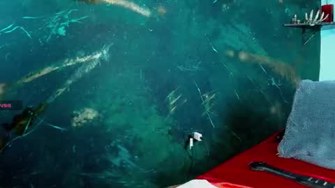    online show from February 20, 2026, 6:59 am