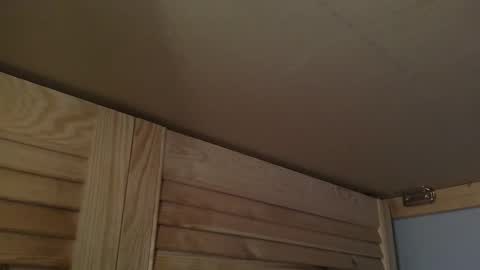 Snapshot of junction1000 chatting on October 7, 2025, 7:27 am Gregor online show from October 7, 2025, 7:27 am