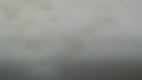 Snapshot of junk_yard_dog chatting on October 20, 2025, 1:55 pm Dave online show from October 20, 2025, 1:55 pm