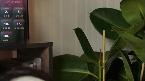 just_dakota_ online show from March 31, 2026, 7:53 am