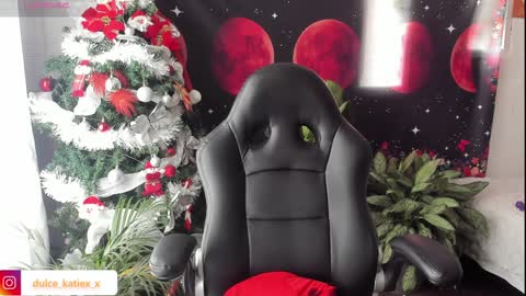 Snapshot of just_katiex chatting on December 31, 2024, 6:24 pm Sofia online show from December 31, 2024, 6:24 pm