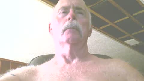 Snapshot of justdon chatting on July 17, 2026, 3:29 pm justdon online show from July 17, 2026, 3:29 pm