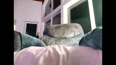 Gil indpendant model exhibitionnist online show from January 8, 2025, 1:53 am