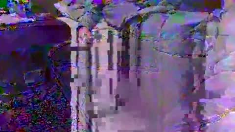 Techno Nymph online show from February 25, 2026, 3:49 am