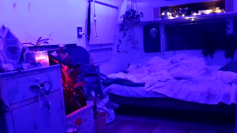 Snapshot of jwolf11851725 chatting on September 21, 2025, 8:05 am jwolf11851725 online show from September 21, 2025, 8:05 am