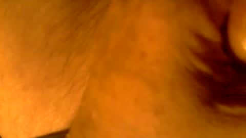 Snapshot of kaatingen chatting on November 9, 2025, 3:10 pm kaatingen online show from November 9, 2025, 3:10 pm